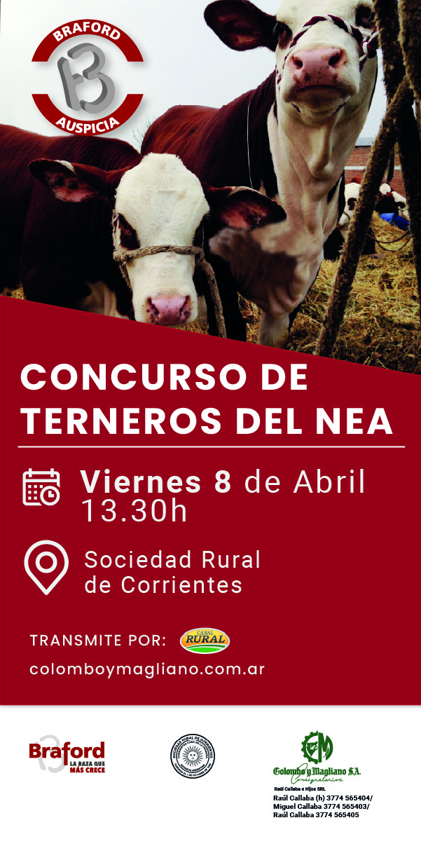 8.4-CONCURSO-TERNEROS-DEL-NEA