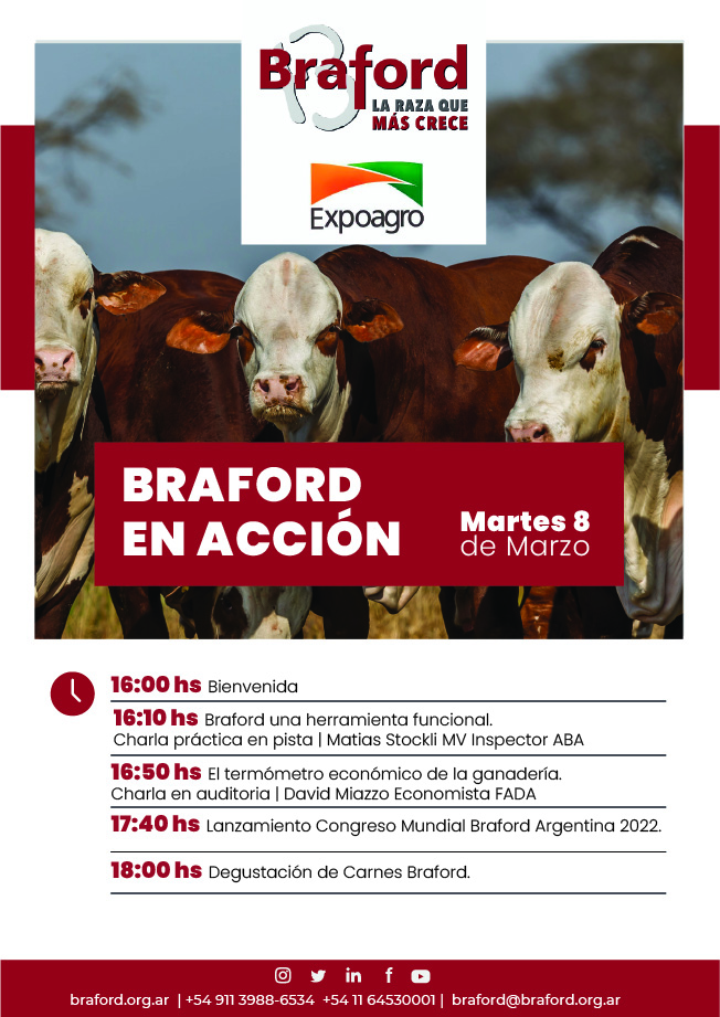 Braford en Accion en ExpoAgro