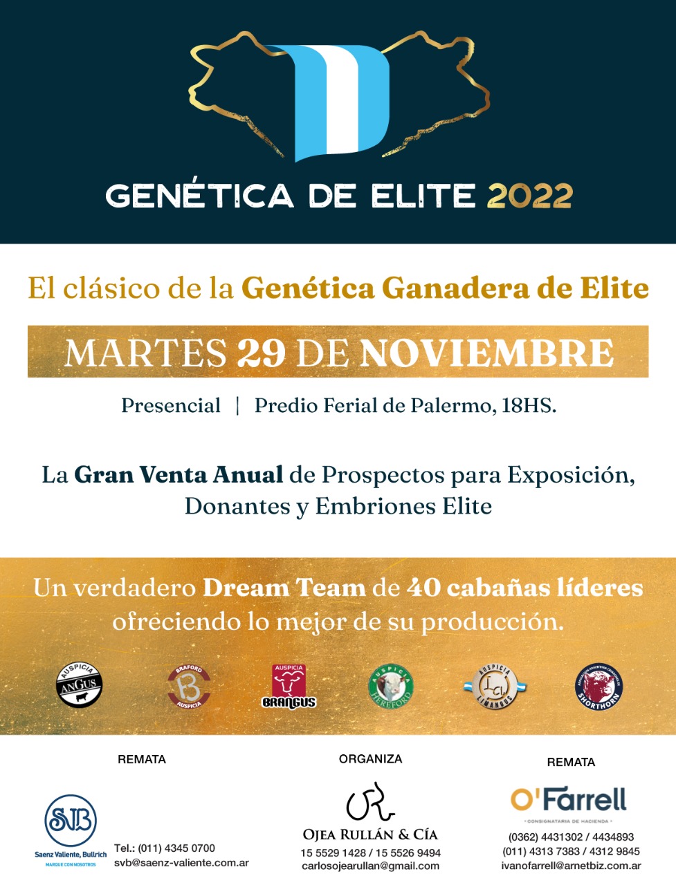 29.11-gnetica-elite