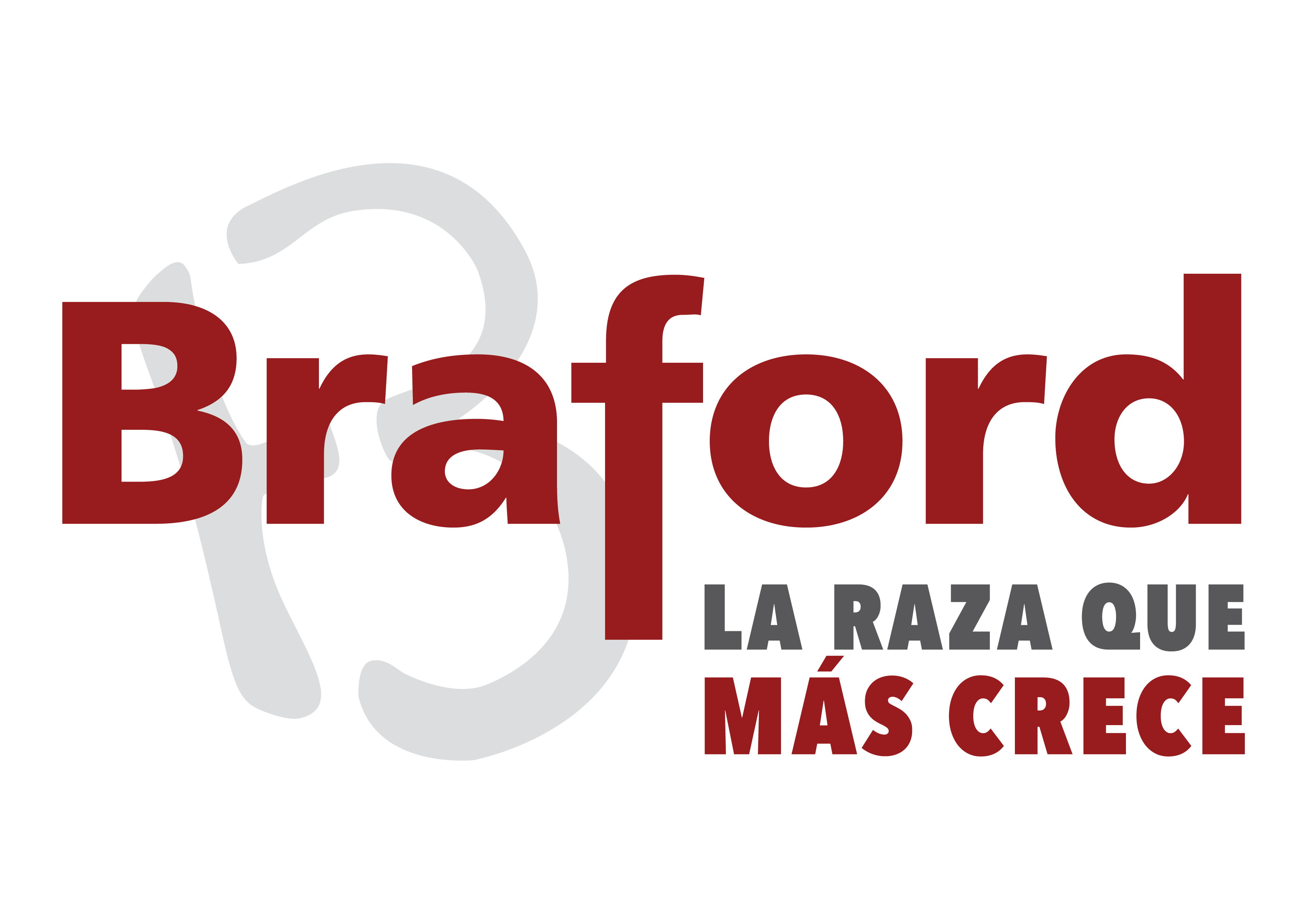 Logo BRAFORD Institucional PNG