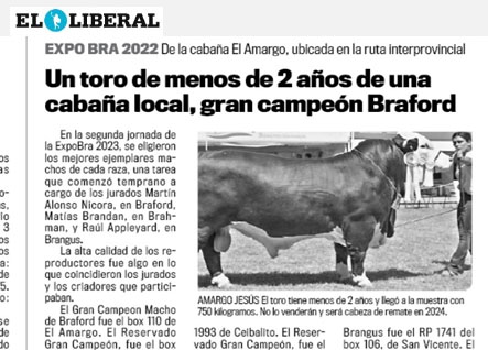 bra7