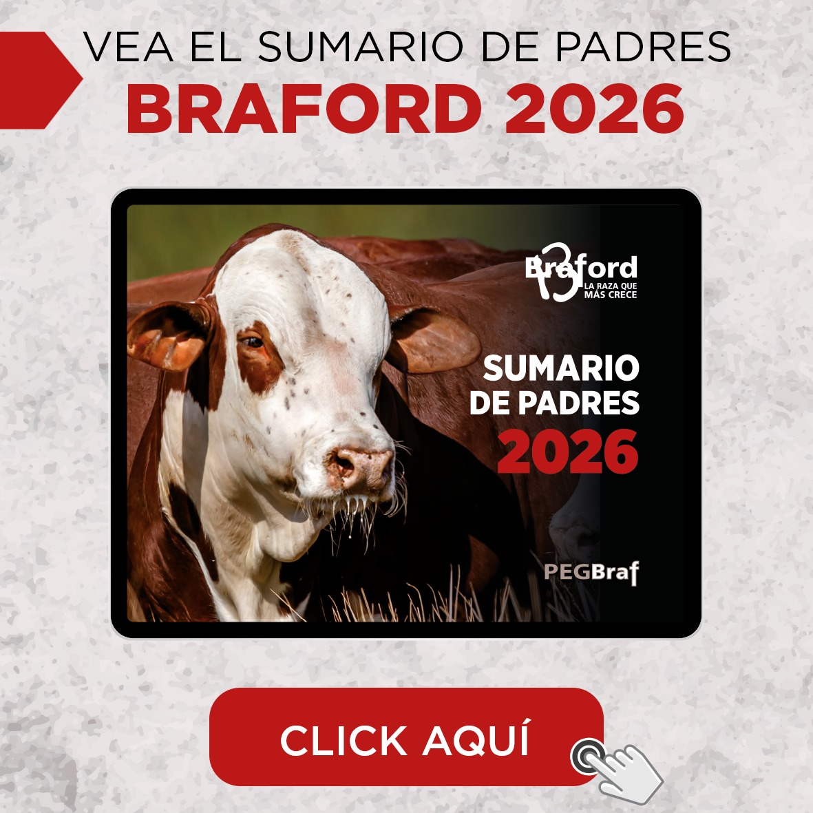 Ver sumario braford 2026